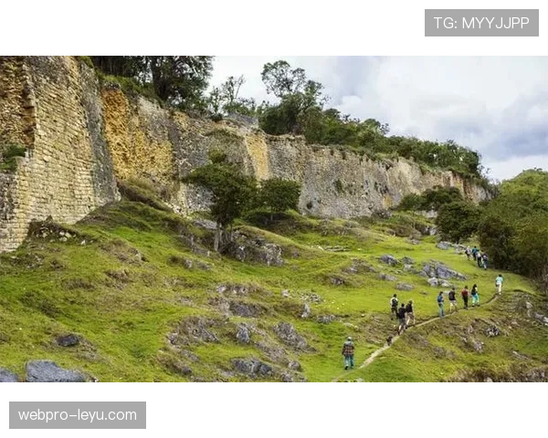 秘鲁队闪耀赛场：精湛技艺与团队精神铸就精彩对决