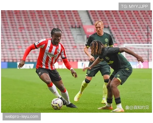 南安普顿新赛季阵容深度解析：新星崛起成关键看点